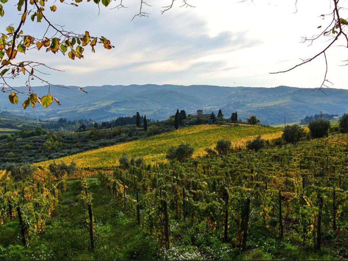 Holiday Home San Rocco-1 By Interhome Greve in Chianti Ngoại thất bức ảnh