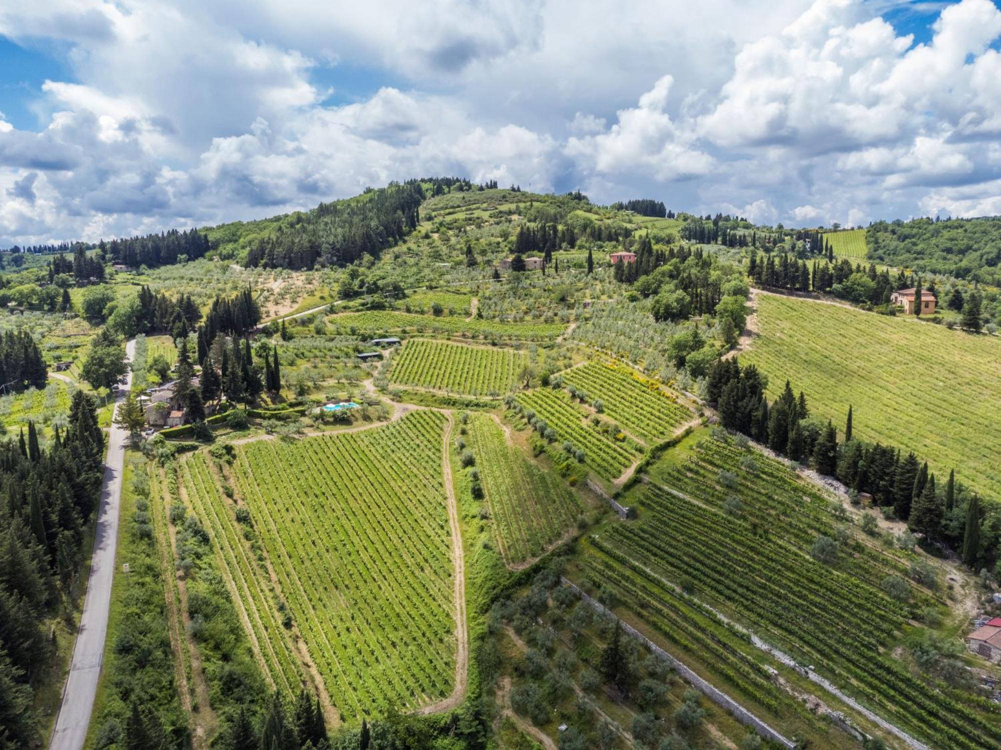 Holiday Home San Rocco-1 By Interhome Greve in Chianti Ngoại thất bức ảnh